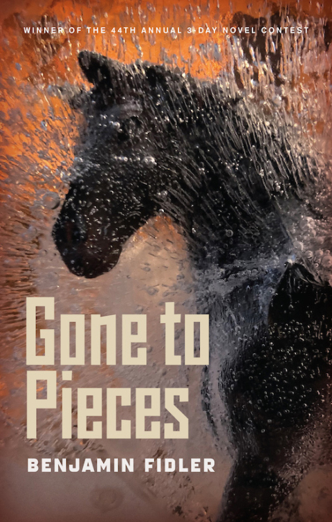 Cover image for book Gone to Pieces
