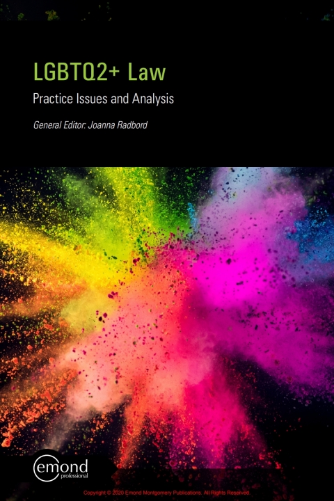 Cover image for book LGBTQ2+ Law: Practice Issues and Analysis
