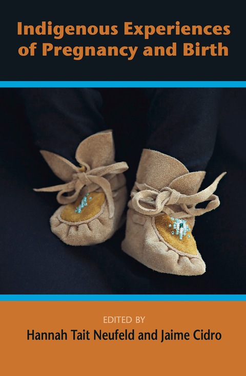 Cover image for book Indigenous Experiences of Pregnancy and Birth