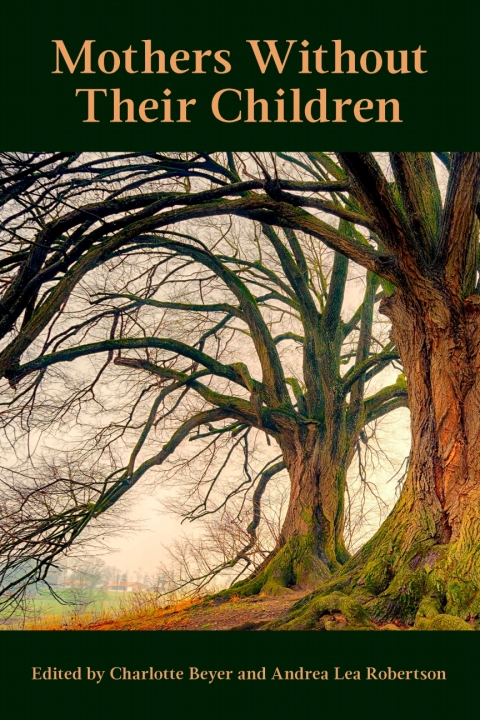 Cover image for book Mothers Without Their Children