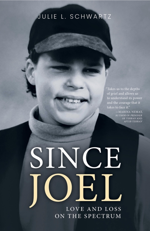 Cover image for book Since Joel