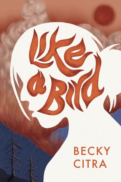 Cover image for book Like a Bird