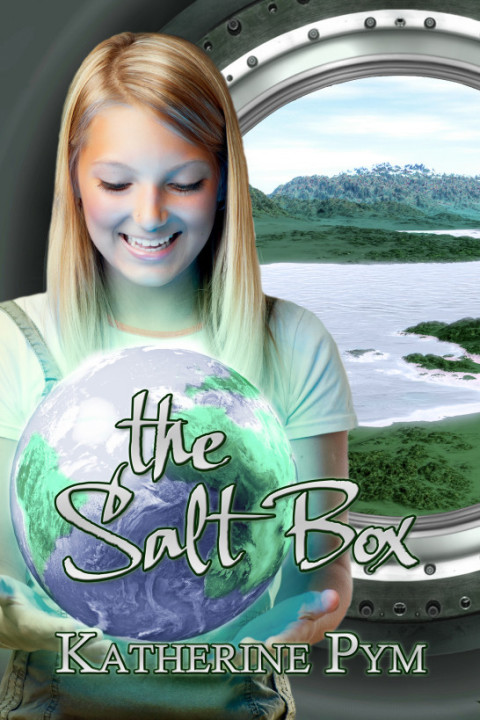 Cover image for book The Salt Box