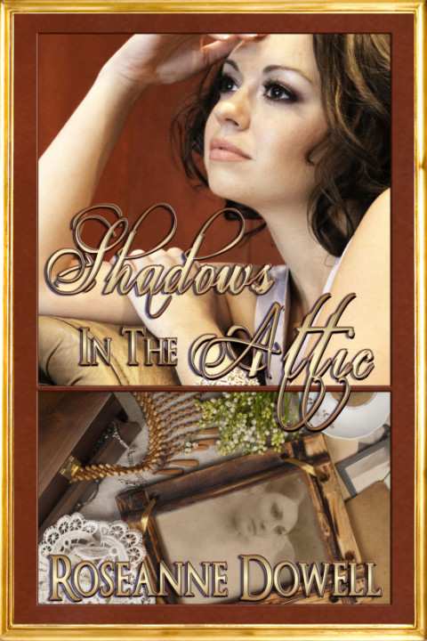 Cover image for book Shadows In The Attic