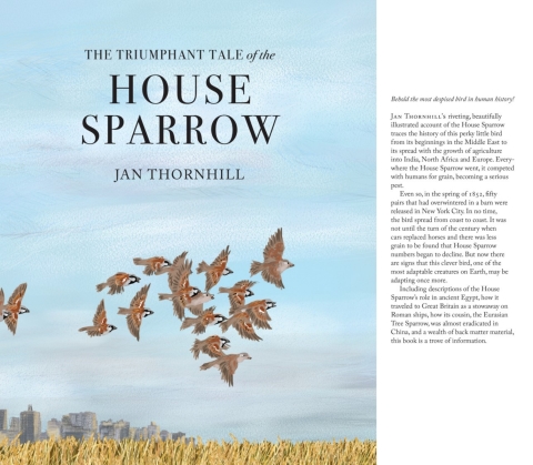 Cover image for book The Triumphant Tale of the House Sparrow