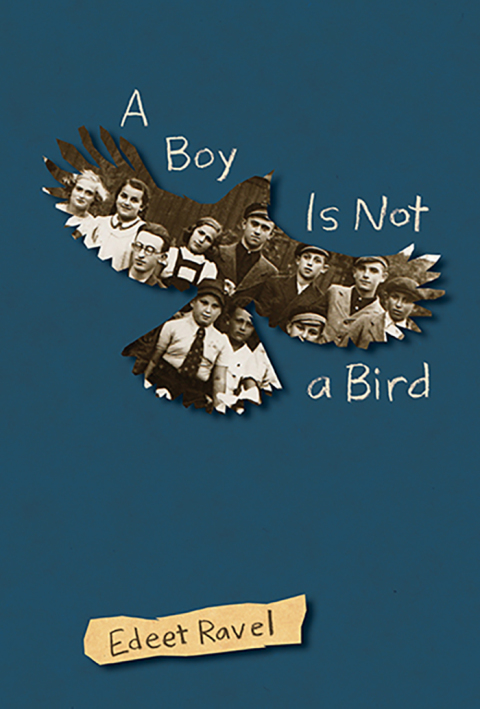 Cover image for book A Boy Is Not a Bird