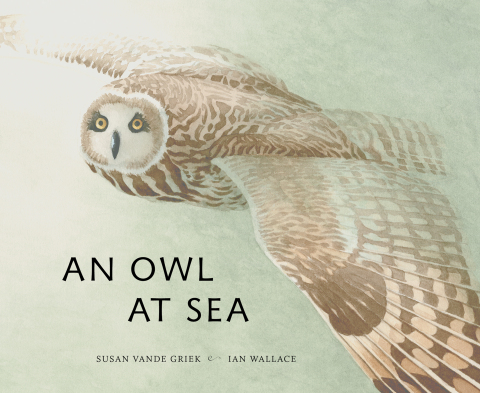 Cover image for book An Owl at Sea