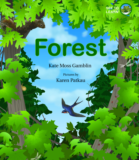 Cover image for book Forest: A See to Learn Book