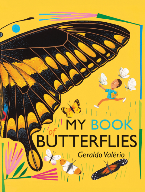 Cover image for book My Book of Butterflies