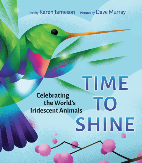 Cover image for book Time to Shine
