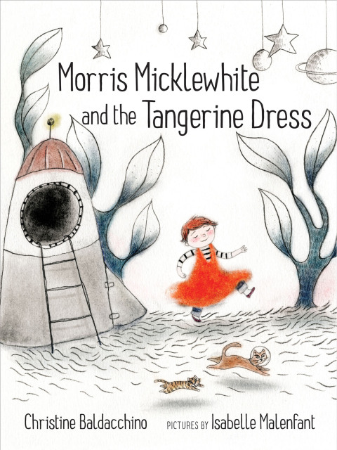 Cover image for book Morris Micklewhite and the Tangerine Dress