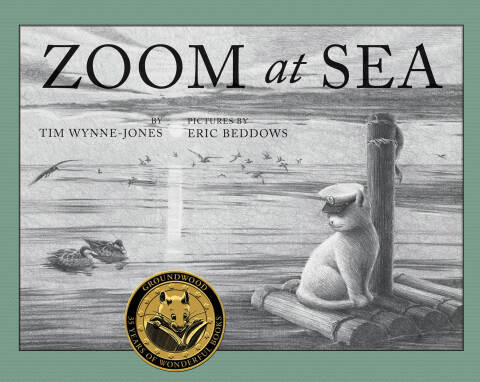 Cover image for book Zoom at Sea