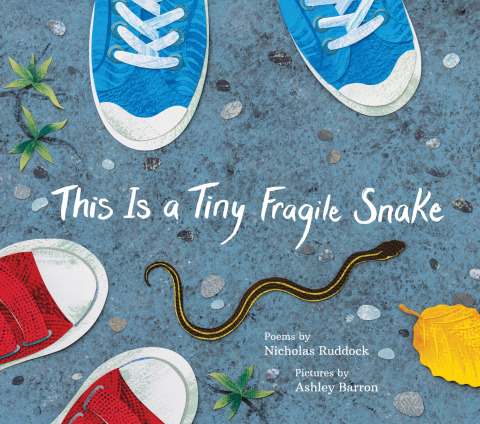 Cover image for book This Is a Tiny Fragile Snake