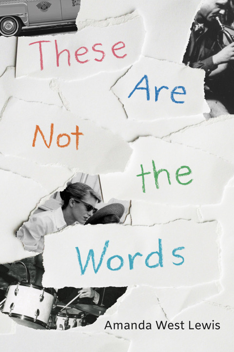 Cover image for book These Are Not the Words