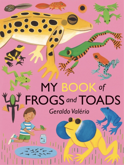 Cover image for book My Book of Frogs and Toads