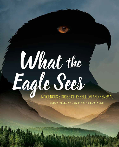 Cover image for book What the Eagle Sees