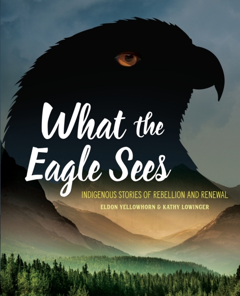 Cover image for book What the Eagle Sees