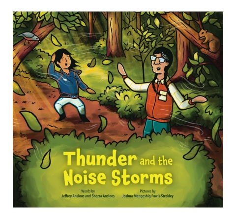 Cover image for book Thunder and the Noise Storms