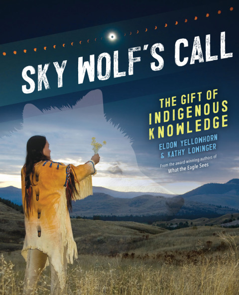 Cover image for book Sky Wolf's Call