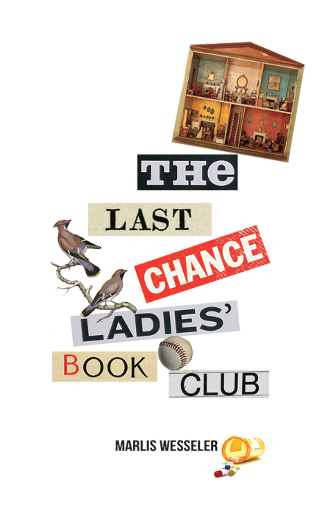 Cover image for book The Last Chance Ladies' Book Club