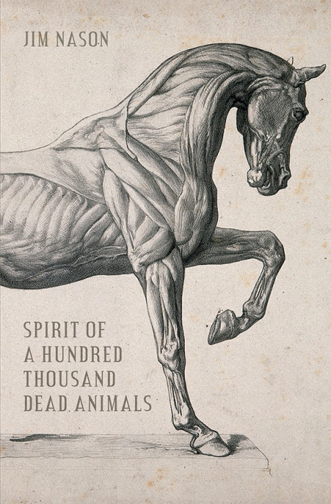 Cover image for book Spirit of a Hundred Thousand Dead Animals