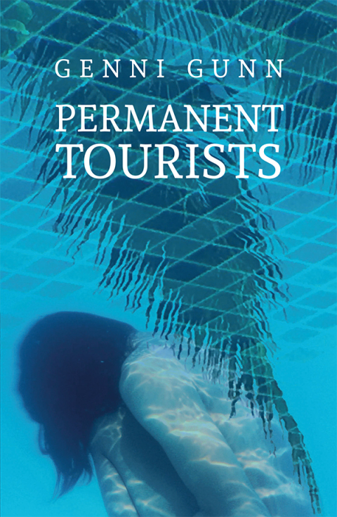 Cover image for book Permanent Tourists