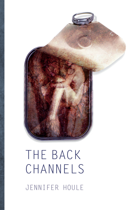 Cover image for book The Back Channels