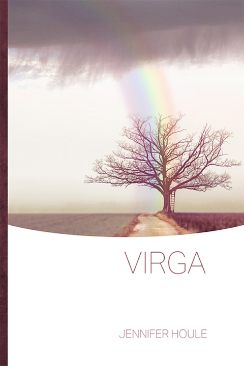 Cover image for book Virga