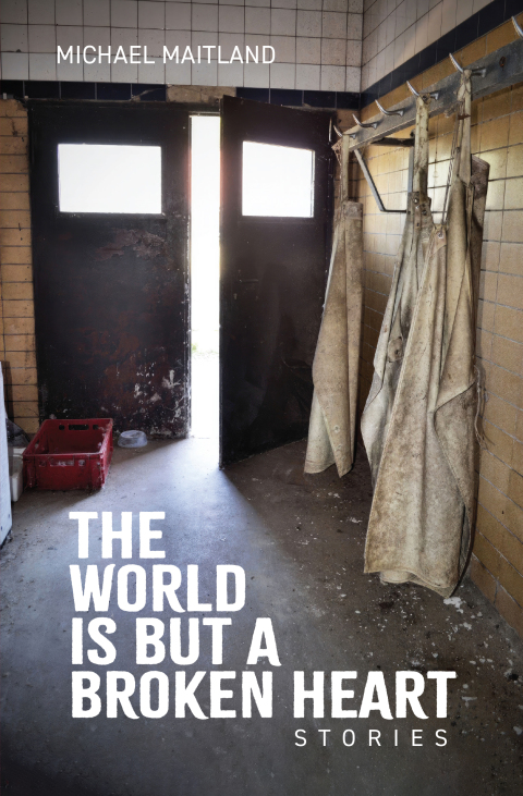 Cover image for book The World Is But a Broken Heart
