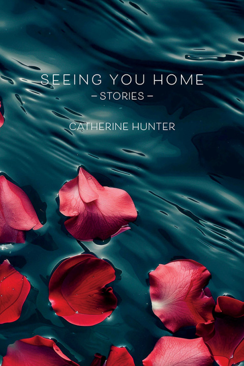 Cover image for book Seeing You Home