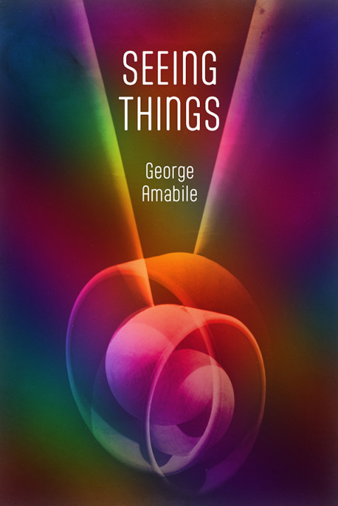Cover image for book Seeing Things