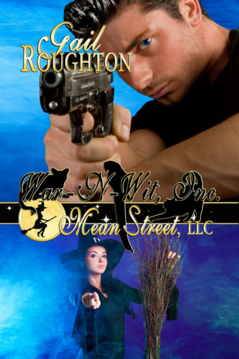 Cover image for book Mean Street, LLC