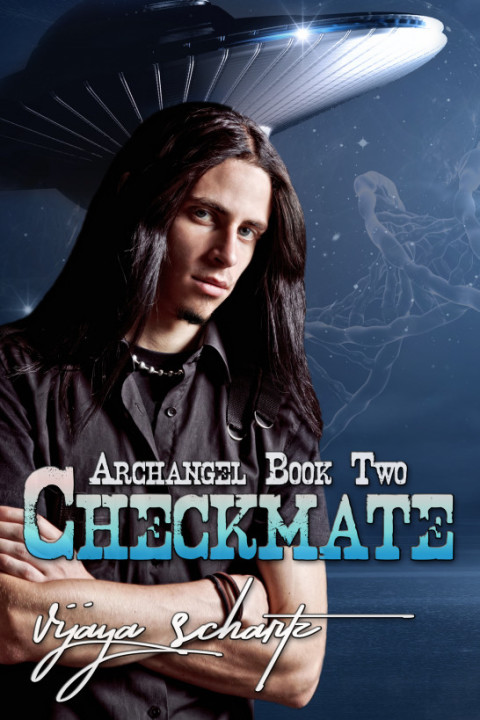 Cover image for book Checkmate