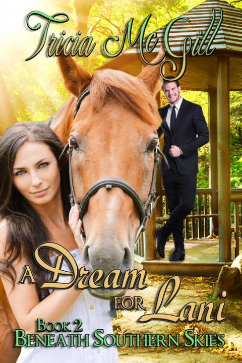 Cover image for book A Dream For Lani