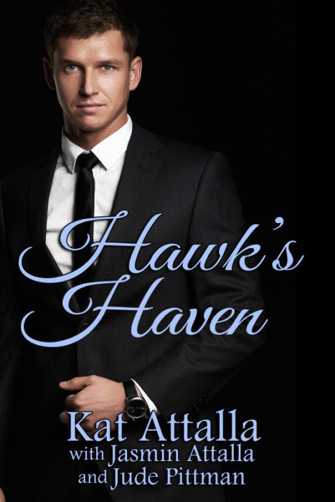 Cover image for book Hawk's Haven