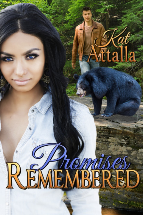 Cover image for book Promises Remembered