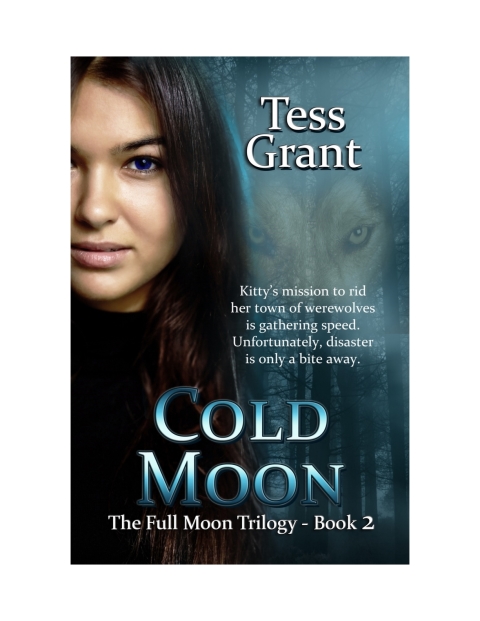 Cover image for book Cold Moon