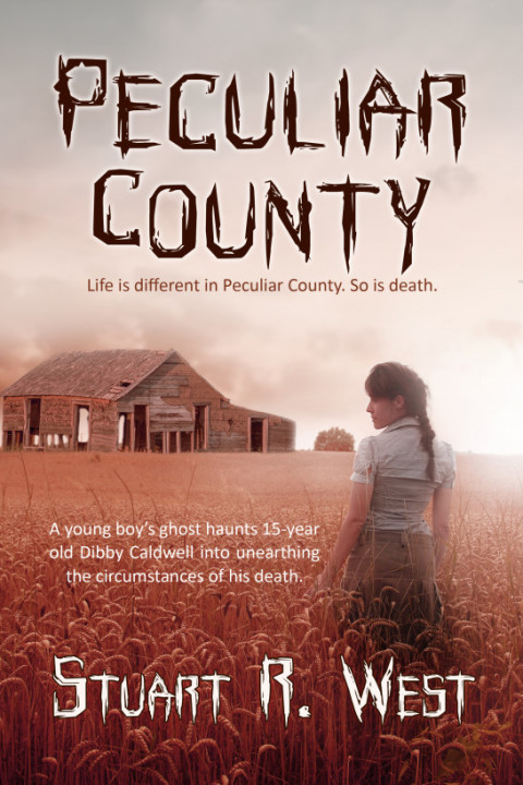 Cover image for book Peculiar Country