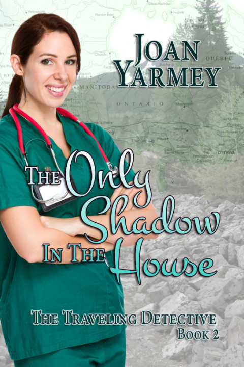Cover image for book The Only Shadow in the House