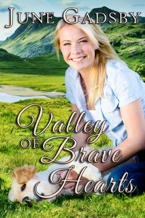 Cover image for book Valley of Brave Hearts