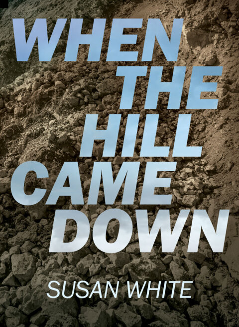 Cover image for book When the Hill Came Down
