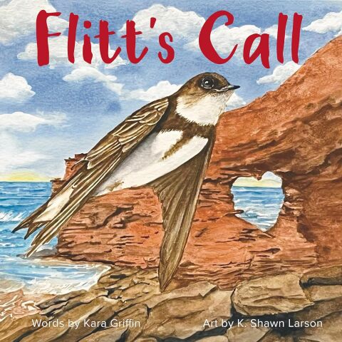Cover image for book Flitt's Call