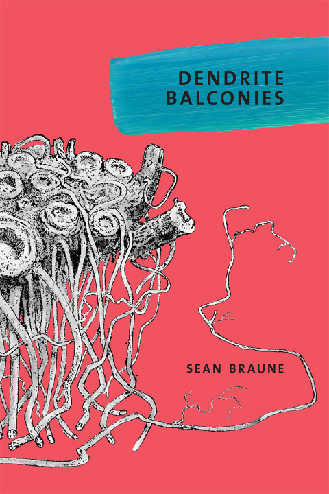 Cover image for book Dendrite Balconies