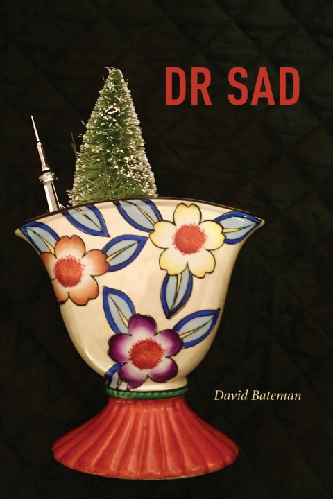 Cover image for book DR SAD