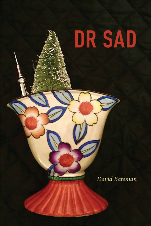 Cover image for book DR SAD