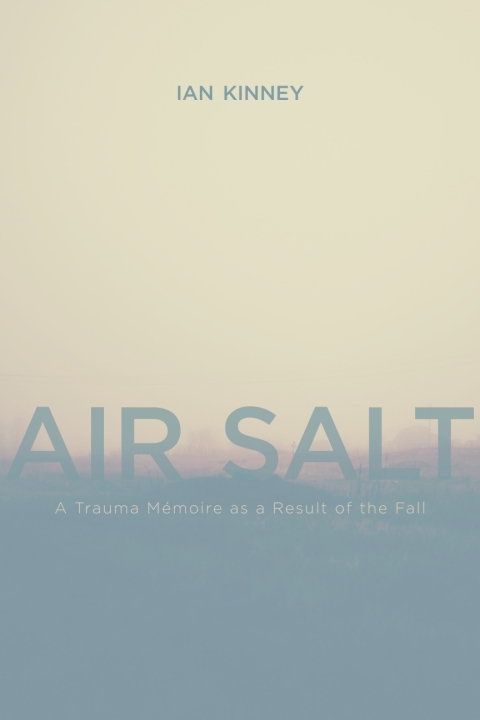 Cover image for book Air Salt