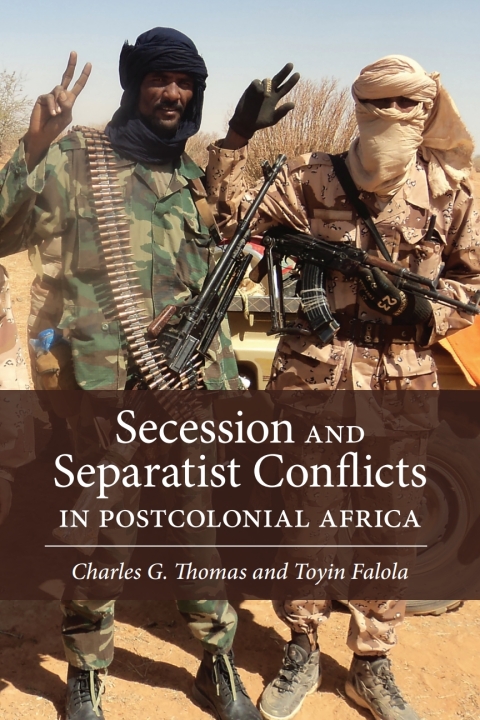 Cover image for book Secession and Separatist Conflicts in Postcolonial Africa
