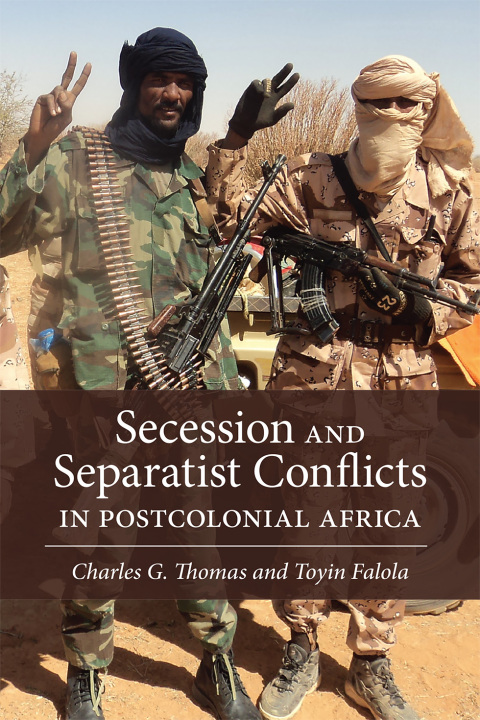 Cover image for book Secession and Separatist Conflicts in Postcolonial Africa