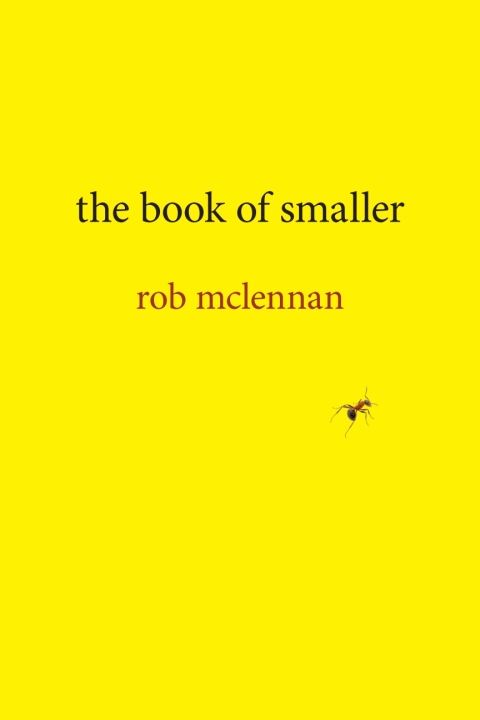 Cover image for book the book of smaller