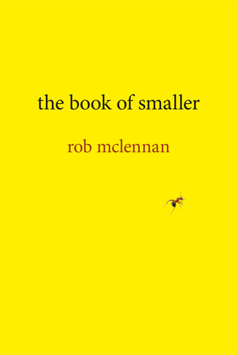 Cover image for book the book of smaller